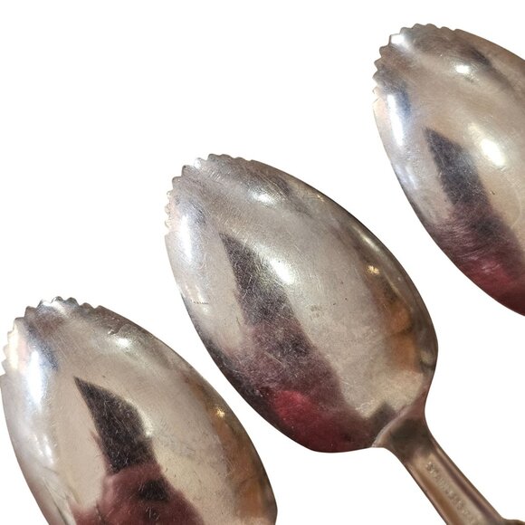 3 Bamboo Handle Grapefruit Spoon 6" vtg retro revival midcentury boho mixed mate - Picture 7 of 8